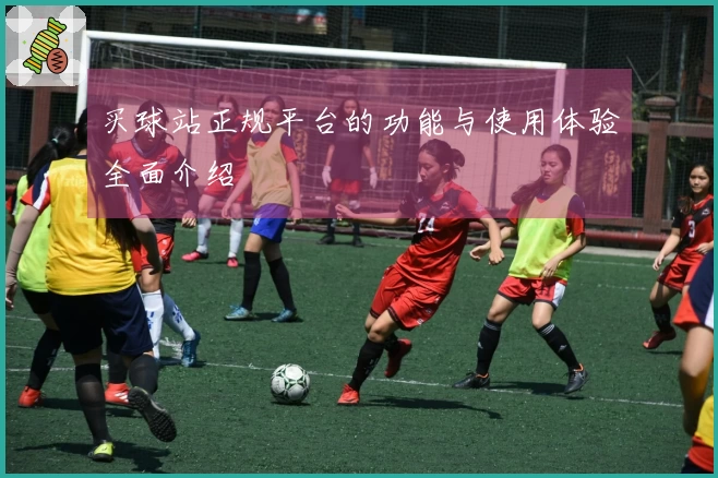 买球站正规平台的功能与使用体验全面介绍