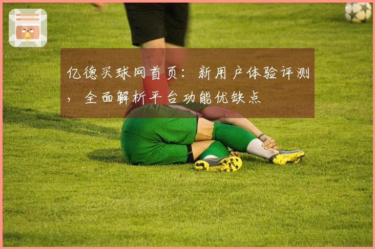 亿德买球网首页：新用户体验评测，全面解析平台功能优缺点