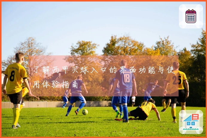了解西甲买球入口的界面功能与使用体验指南