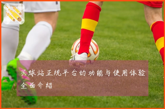 买球站正规平台的功能与使用体验全面介绍