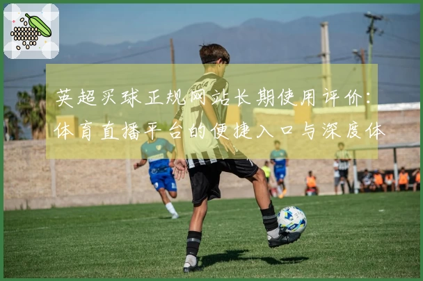 英超买球正规网站长期使用评价：体育直播平台的便捷入口与深度体验指南